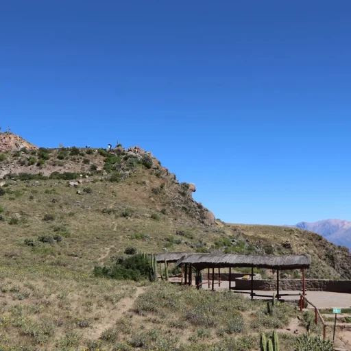 la cruz del condor