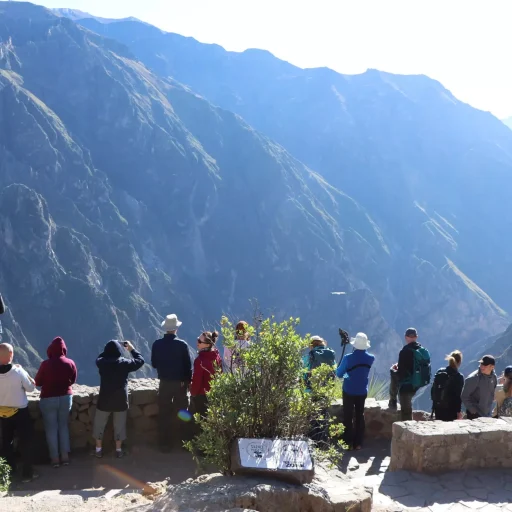 la cruz del condor2